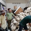 Chuyển giao 21 tấn vỏ trai tai tượng cho Bảo tàng Thiên nhiên Việt Nam. (Nguồn: Cục Quản lý thị trường Tiền Giang)