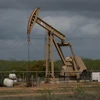 Cơ sở khai thác dầu tại Cotulla, bang Texas, Mỹ. (Ảnh: AFP/TTXVN)