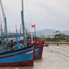 Ngư dân Phú Yên neo đậu tàu thuyền tại cảng cá Đông Tác, phường Phú Đông thành phố Tuy Hòa tránh bão. (Ảnh: Phạm Cường/TTXVN)
