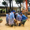 Lực lượng đoàn viên thanh niên giúp các trường học ở xã Hướng Việt khắc phục hậu quả lũ lụt. (Ảnh: Hồ Cầu/TXVN)