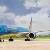 Máy bay của Vietnam Airlines. (Ảnh: CTV/Vietnam+)