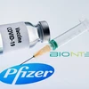 Hình ảnh mô phỏng vaccine ngừa COVID-19 do hai hãng dược phẩm Pfizer của Mỹ và BioNTech của Đức phối hợp bào chế. (Ảnh: AFP/TTXVN)
