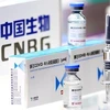 Vắcxin ngừa COVID-19 của hãng dược phẩm Sinopharm, Trung Quốc. (Ảnh: Yicai Global/TTXVN)