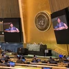Đại sứ Đặng Đình Quý, Trưởng phái đoàn đại diện thường trực Việt Nam tại Liên hợp quốc phát biểu trong cuộc họp tại Đại hội đồng Liên hợp quốc ngày 23/11/2020. (Ảnh: Hữu Thanh/TTXVN)
