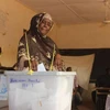 Khoảng 1/3 dân số Niger đủ điều kiện bỏ phiếu trong cuộc bầu cử năm 2020. (Nguồn: AA)