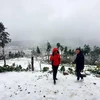 Du khách thích thú với mưa tuyết tại Y Tý. (Ảnh: Quốc Khánh/TTXVN)