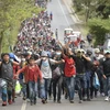 Người di cư Honduras di chuyển tại Camotan, Guatemala trong hành trình tới Mỹ ngày 16/1/2021. (Ảnh: AFP/TTXVN)