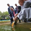 Đại sứ Hoa Kỳ tại Việt Nam Daniel J. Kritenbrink thực hiện nghi lễ thả cá chép tại chùa Kim Liên để tiễn ông Công ông Táo về trời theo truyền thống của người Việt. (Ảnh: Minh Sơn/Vietnam+)