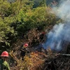 Lực lượng chức năng khống chế vụ cháy rừng. (Ảnh: TTXVN phát)