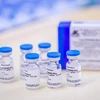 Vắcxin Sputinik V ngừa COVID-19 của Nga. (Ảnh: AFP/TTXVN)