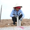 Cắm mốc nhằm xác định vị trí, diện tích các lô đất tại Khu tái định cư Lộc An-Bình Sơn. (Ảnh: Công Phong/TTXVN)