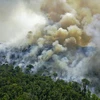 Khói lửa bốc lên từ đám cháy tại khu vực rừng Amazon ở bang Para State, Brazil ngày 16/8/2020. (Ảnh: AFP/TTXVN)