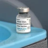 Vaccine Covaxin nội địa của Ấn Độ phòng COVID-19. (Ảnh: AFP/TTXVN)
