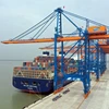 Tàu container CMA CGM CORTE REAL tải trọng 165.375 DWT, có chiều dài 365,5m cập cảng GERMALINK (Bà Rịa-Vũng Tàu) bốc dỡ hàng hóa. (Ảnh: TTXVN phát)