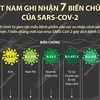 [Infographics] Việt Nam ghi nhận 7 biến chủng của SARS-CoV-2
