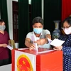 Cử tri là giáo dân tại xã Xuân Ngọc, huyện Xuân Trường, tỉnh Nam Định đi bầu cử ngày 23/5. (Ảnh: Công Luật/TTXVN)