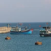Âu tàu đảo Đá Tây A mỗi ngày có hàng chục lượt tàu thuyền của ngư dân vào neo đậu tránh trú gió và thực hiện các dịch vụ hậu cần nghề cá. (Ảnh: Sỹ Tuyên/TTXVN)