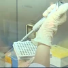 [Video] Việt Nam làm chủ quy trình giải trình tự gene virus SARS-CoV-2