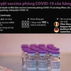 [Infographics] Phê duyệt vaccine ngừa COVID-19 của Pfizer/BioNTech