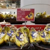 [Video] Chuối Việt Nam được thị trường Nhật Bản đón nhận tích cực