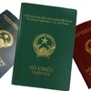 Các mẫu hộ chiếu hiện nay. (Nguồn: cand.com.vn)