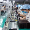 Công nhân Công ty TNHH Handanbi Vina lắp ráp linh kiện điện thoại tại KCN Điềm Thụy, tỉnh Thái Nguyên. (Ảnh: Anh Tuấn/TTXVN)