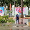 Thu dọn cành cây bị tét nhánh do dông lốc vào trưa 27/7 tại quận Ninh Kiều, Cần Thơ. (Ảnh: TTXVN phát)
