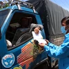 Lực lượng trực chốt kiểm soát dịch bệnh huyện Ninh Hải kiểm tra giấy xác nhận phương tiện ra, vào địa bàn theo quy định. (Ảnh: Công Thử/TTXVN)