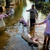 [Video] Trung Quốc đối mặt nguy cơ bùng phát dịch bệnh sau lũ lụt