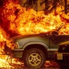 Khói lửa cháy rừng bốc ngùn ngụt tại Greenville, California (Mỹ) ngày 5/8/2021. (Ảnh: AFP/TTXVN)