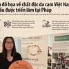 Họa sỹ Pháp gây chú ý với tranh đồ họa về chất độc da cam ở Việt Nam