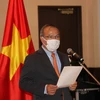 Đại sứ Việt Nam tại Nhật Bản Vũ Hồng Nam phát biểu tại cuộc họp báo. (Ảnh: Đào Thanh Tùng/TTXVN)