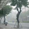 Mưa lớn xảy ra trên địa bàn thành phố Đà Nẵng do bão số 5 gây ra. (Ảnh: Trần Lê Lâm/TTXVN)