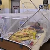 Một bệnh nhân sốt xuất huyết nằm trong màn chống muỗi trong khu điều trị của một bệnh viện ở Prayagraj. (Nguồn: AFP)