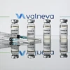 Vaccine ngừa COVID-19 của hãng Valneva. (Ảnh: AFP/TTXVN)