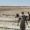 Người dân lấy nước sinh hoạt tại một hồ chứa gần khô cạn cạnh sông Euphrates ở tỉnh Raqqa, miền Đông Syria ngày 27/7/2021. (Ảnh: AFP/TTXVN)