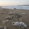Rác thải tại bãi biển thuộc phường 6, thành phố Tuy Hòa, Phú Yên tháng 10/2019. (Ảnh: Phạm Cường/TTXVN)