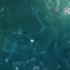 Hình ảnh vệ tinh cho thấy vệt dầu loang bị rò rỉ từ đường ống dẫn ở ngoài khơi bang Louisiana, miền Nam nước Mỹ ngày 5/9/2021. (Ảnh: AFP/TTXVN)