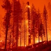 Lính cứu hoả Mỹ nỗ lực dập lửa cháy rừng ngùn ngụt tại “giặc lửa” Twin Bridges, bang California, ngày 29/8/2021. (Ảnh: AFP/TTXVN)