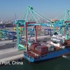 Cảng container thông minh không carbon nằm trong Cảng biển Thiên Tân, phía Bắc Trung Quốc. (Nguồn: news.cn)