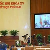 Đại biểu Quốc hội tỉnh Bình Định phát biểu trực tuyến. Ảnh: Văn Điệp/TTXVN)