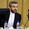  Thứ trưởng Ngoại giao đồng thời là Trưởng đoàn đàm phán hạt nhân Iran Ali Bagheri Kani. (Ảnh: IRNA/TTXVN)