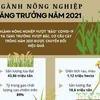 [Infographics] Nông nghiệp Việt Nam tăng trưởng vượt bậc năm 2021