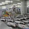 Chế biến cá da trơn xuất khẩu ở Công ty Cổ phần Gò Đàng, Khu Công nghiệp Mỹ Tho, Tiền Giang. (Ảnh: Minh Trí/TTXVN)