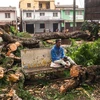 Cây cối bị gió quật đổ sau khi bão Batsirai đổ bộ vào thành phố Antsirabe, Madagascar ngày 6/2/2022. (Ảnh: AFP/TTXVN)