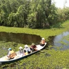 Du lịch sông nước là một sản phẩm đặc trưng được ưa chuộng tại Long An. (Ảnh: Đức Hạnh/TTXVN)