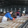Dây chuyền sản xuất gỗ ván ép tại Công ty TNHH Hoàng Gia Yên Bái. (Ảnh: Tiến Khánh/TTXVN)