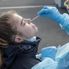 Nhân viên y tế lấy mẫu xét nghiệm COVID-19 cho người dân tại Auckland, New Zealand. (Ảnh: AFP/TTXVN)