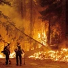 Cháy rừng dữ dội tại cộng đồng Prattville ở hạt Plumas, California (Mỹ) ngày 23/7/2021. (Ảnh: AFP/TTXVN)