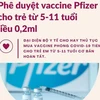 [Infographics] Phê duyệt vaccine Pfizer cho trẻ em từ 5-11 tuổi